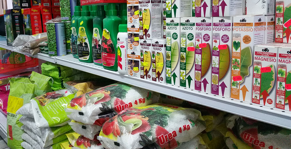 Reparto piantine e sementi per orto