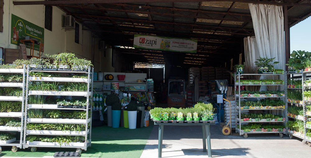 Reparto piantine e sementi per orto