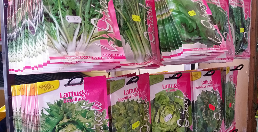 Reparto piantine e sementi per orto